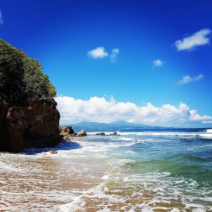 Charmant Et Spacieux Studio A 50M De La Plage Le Diamant Esterno foto